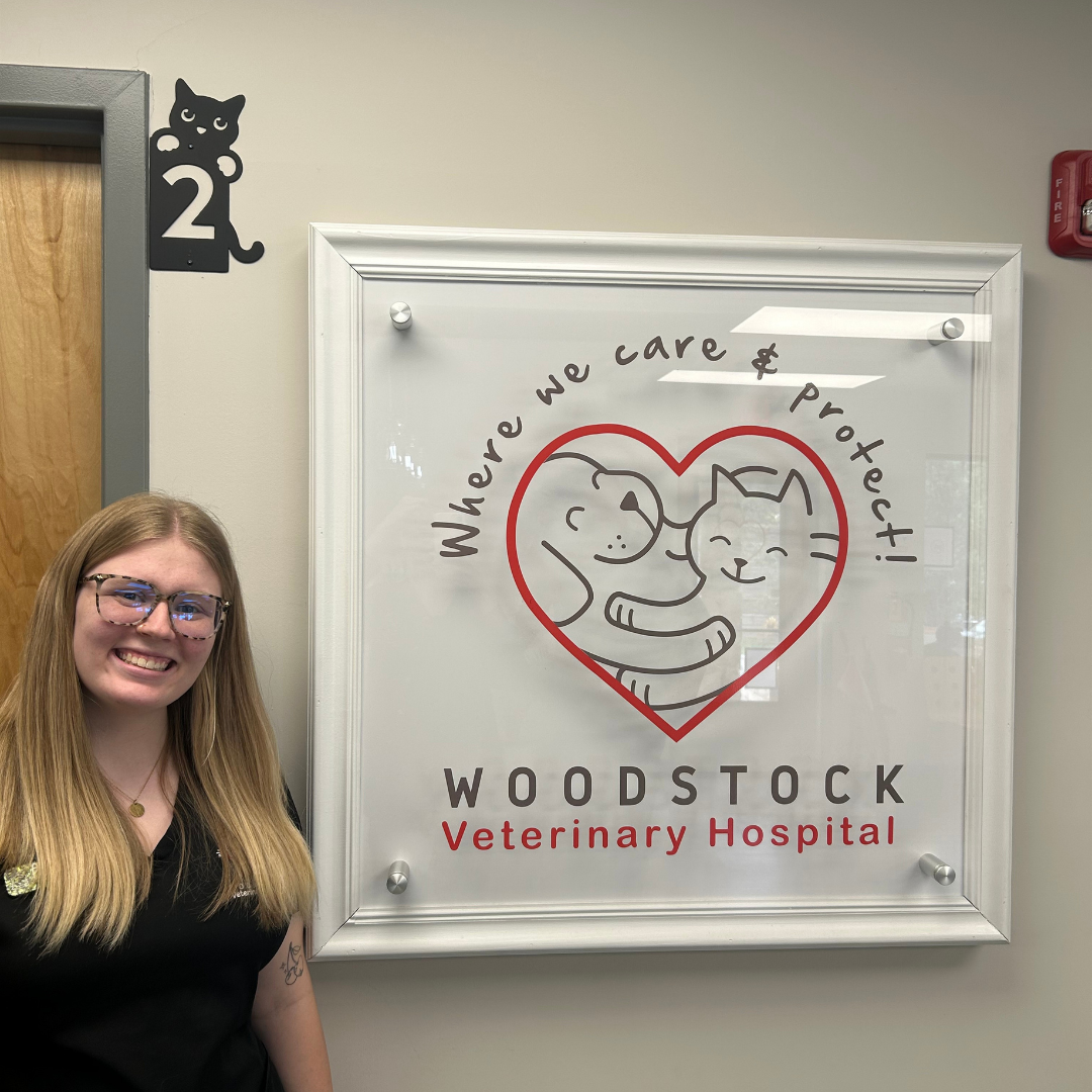 Adasyn-Woodstock Veterinary Hospital Staff