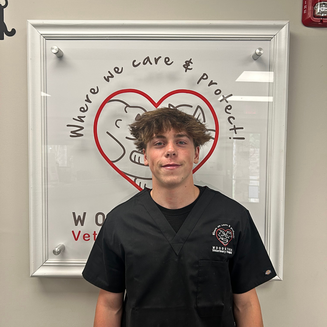 Price-Woodstock Veterinary Hospital Staff