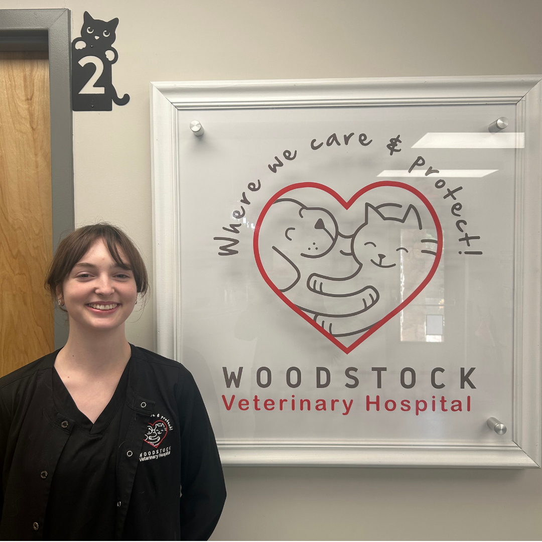 Sophia-Woodstock Veterinary Hospital Staff